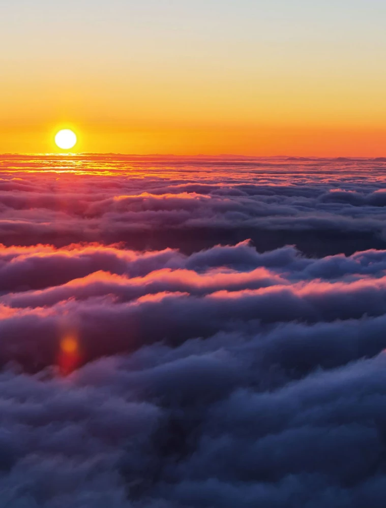 The Physics of Flight. From the First Gliders to Modern Drones